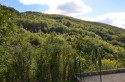0_2575079_68857.jpg