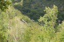 0_2575102_68857.jpg