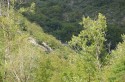 0_2575104_68857.jpg