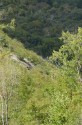 0_2575105_68857.jpg
